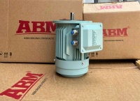 Three-phase electric motor ABM