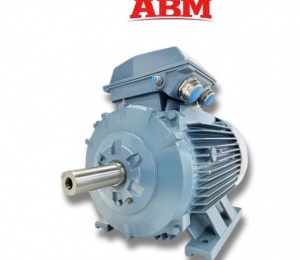 Motor 3 Pha ABM – WJC Series