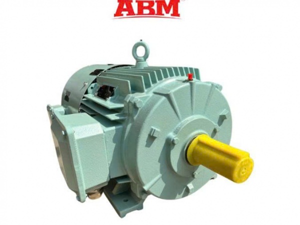 Motor Chạy Biến Tần ABM – MF Series